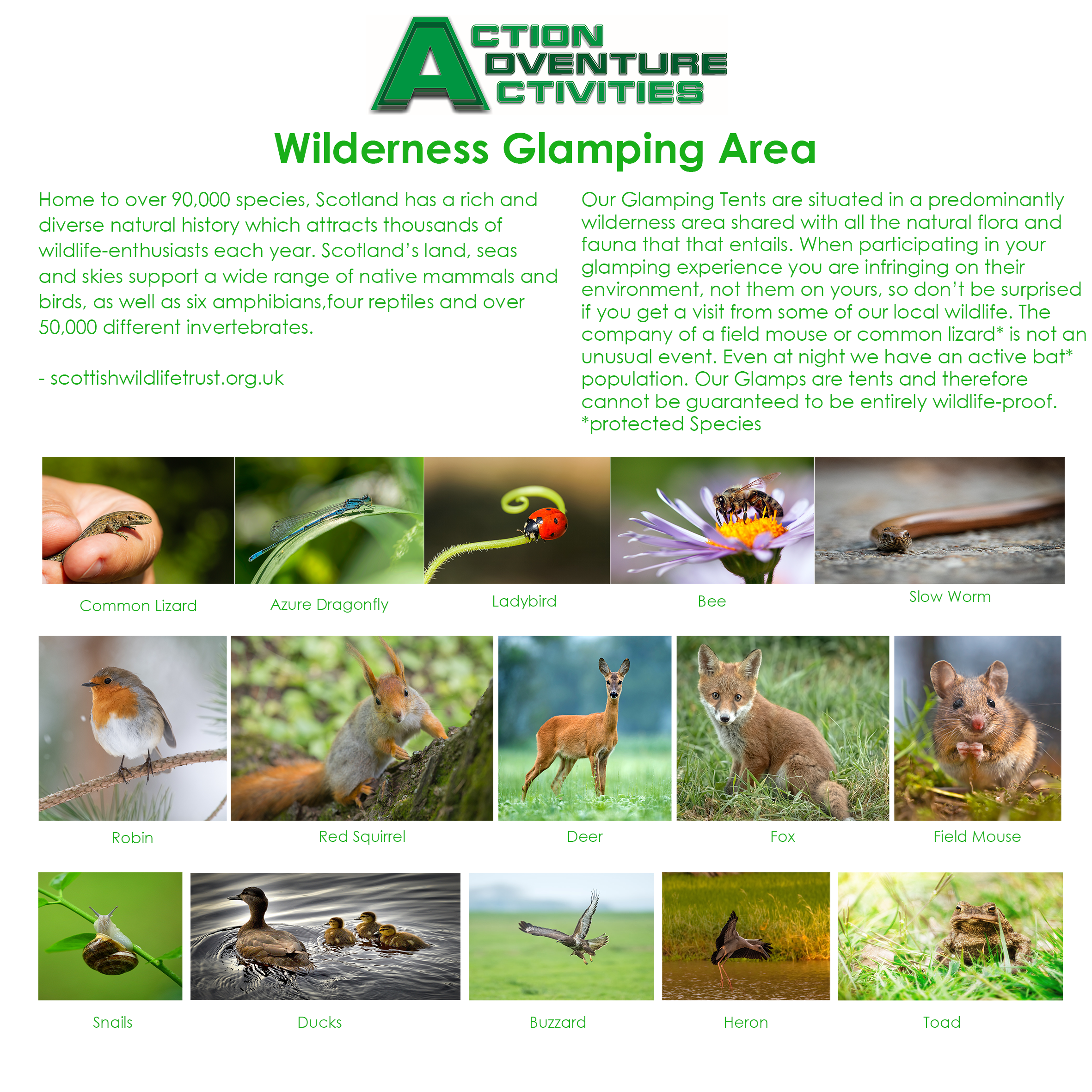 Wildlife sign small